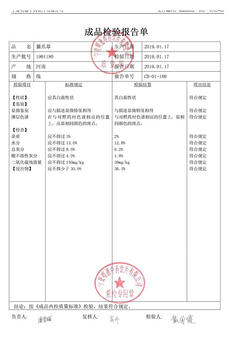 1901180貓爪草.jpg